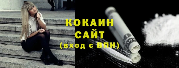 индика Беслан