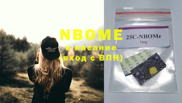 мет Няндома
