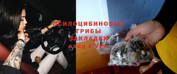 мет Няндома