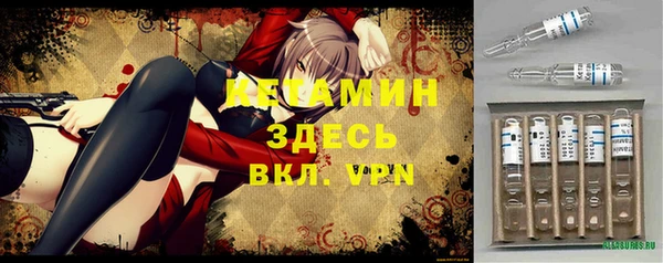мет Няндома