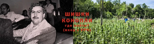 мет Няндома