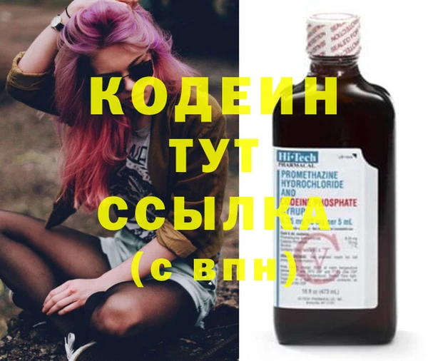 индика Беслан