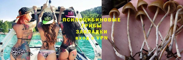 мет Няндома