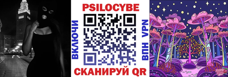 Галлюциногенные грибы Psilocybine cubensis Южно-Сухокумск
